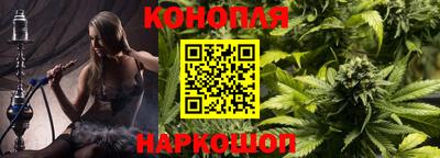 спайс Гай