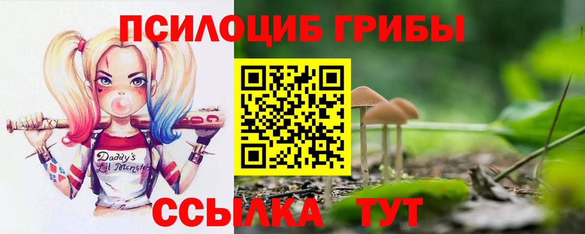 Галлюциногенные грибы GOLDEN TEACHER Саянск